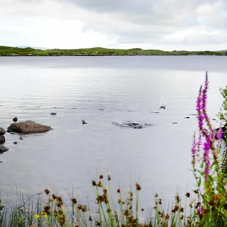 بيت للعطل Holiday Am Lough Beaghcauneen Eir02114 F *